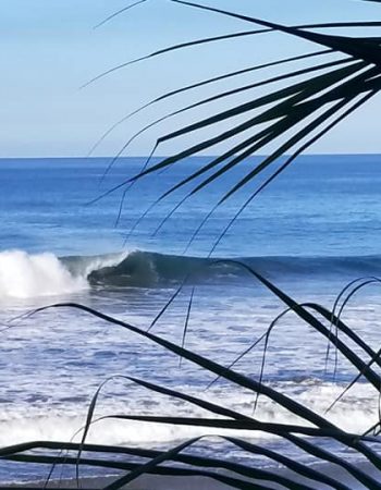 Puerto Sandino Surf Resort